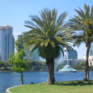 Flórida: 7 quase segredos que você não sabia